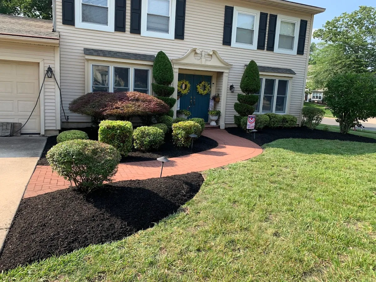 Vasquez Landscaping Projects