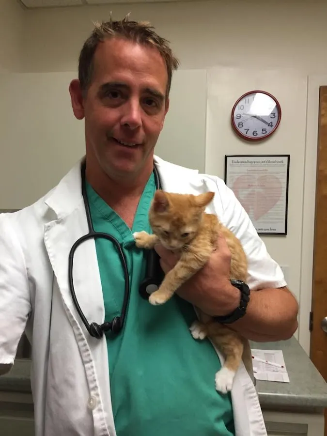 VCA Fischer Animal Hospital