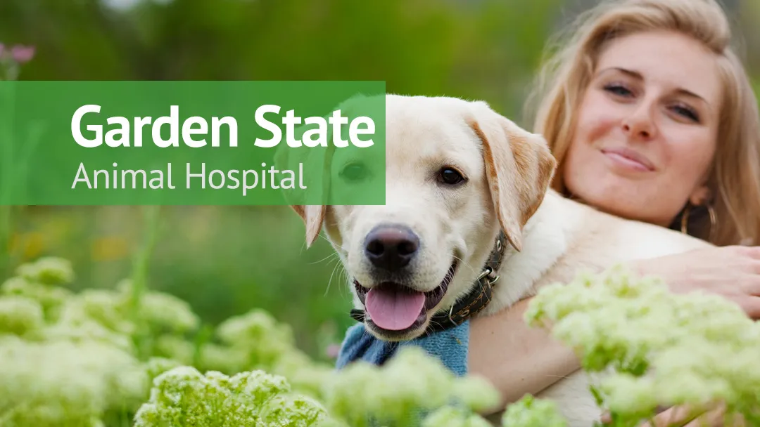 VCA Garden State Animal Hospital