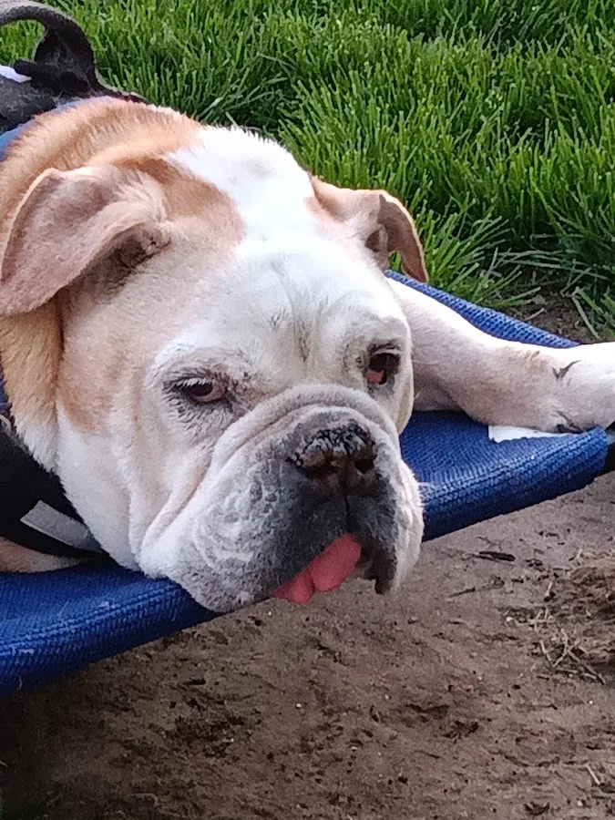 VCA Garden State Animal Hospital photo 2