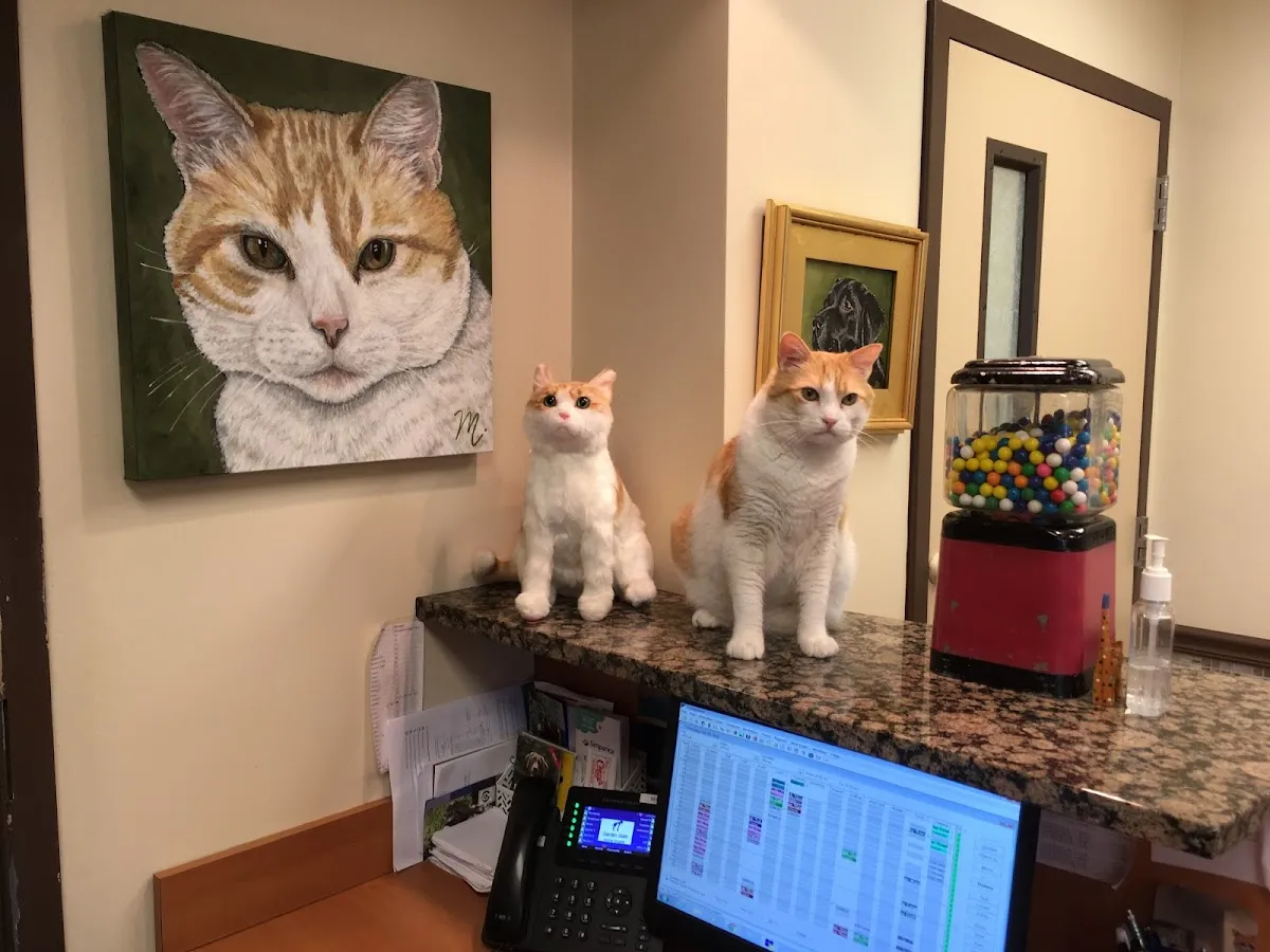 VCA Garden State Animal Hospital photo 4