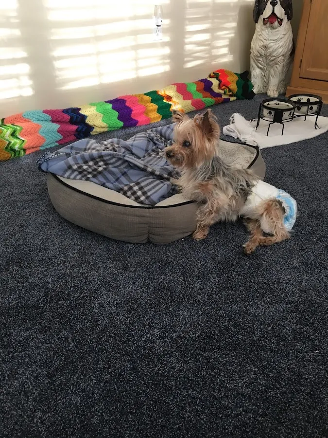 VCA Ocean County Animal Hospital photo 3