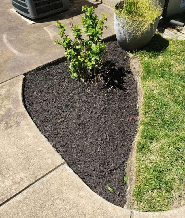 Ventus Landscaping photo 2