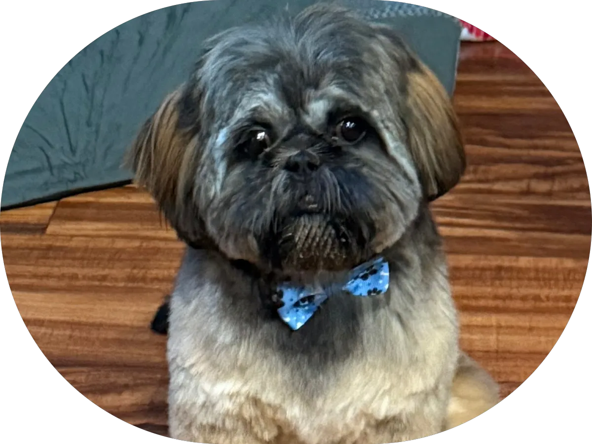 Ventus Landscaping photo 4