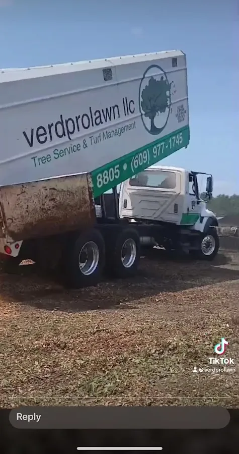 Verdprolawn Tree Service & Turf Management photo 3