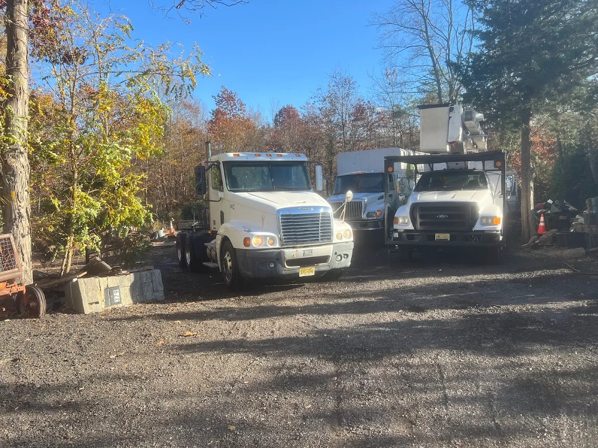 Verdprolawn Tree Service & Turf Management photo 4