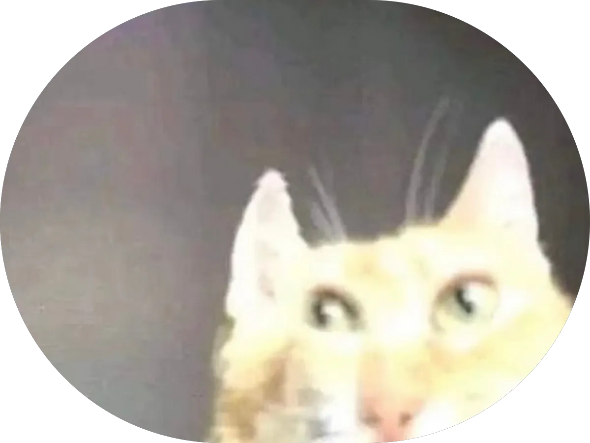 Veterans and Citizens Thrift Store photo 4