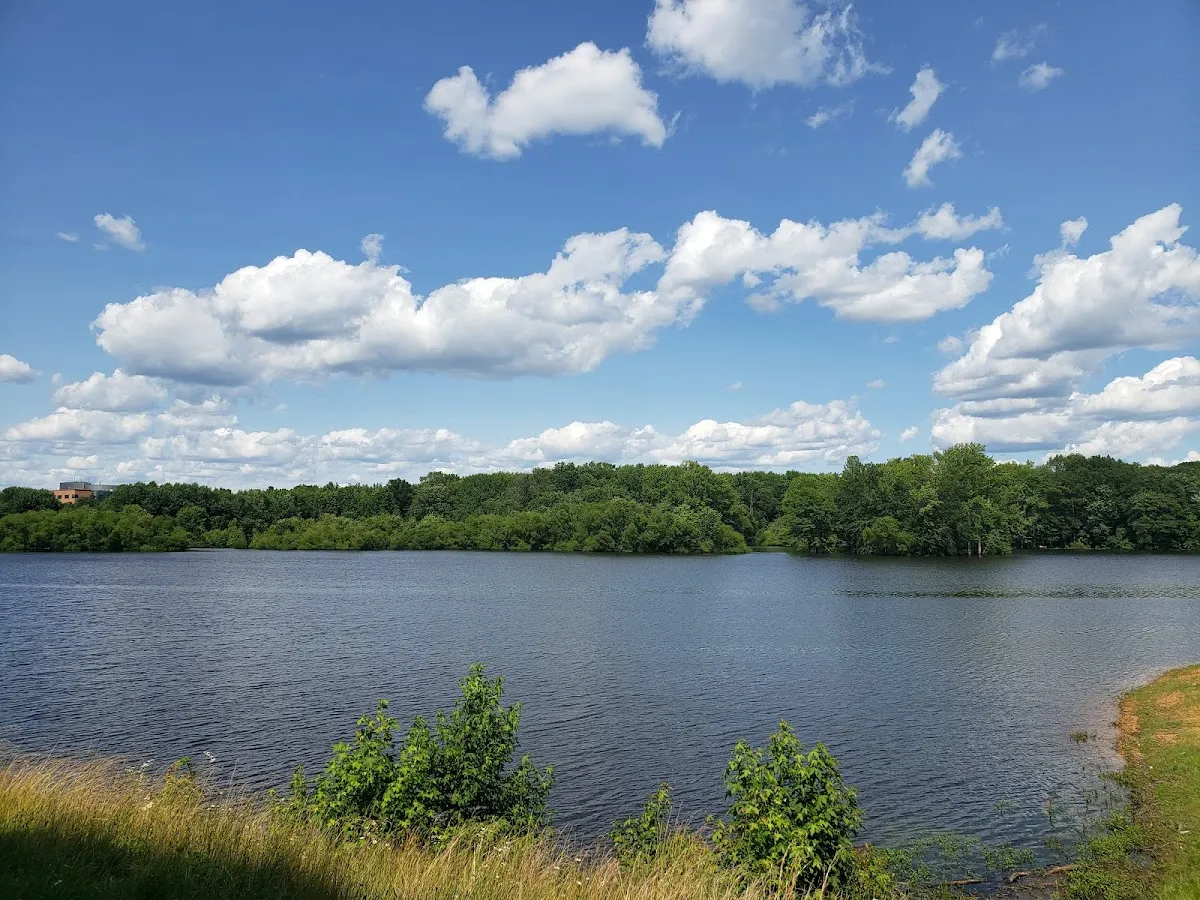 Veterans Park - South Parking Lot photo 4