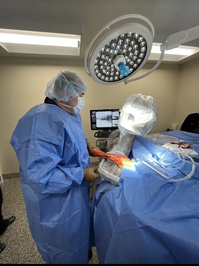 Veterinary Surgery Specialists photo 3