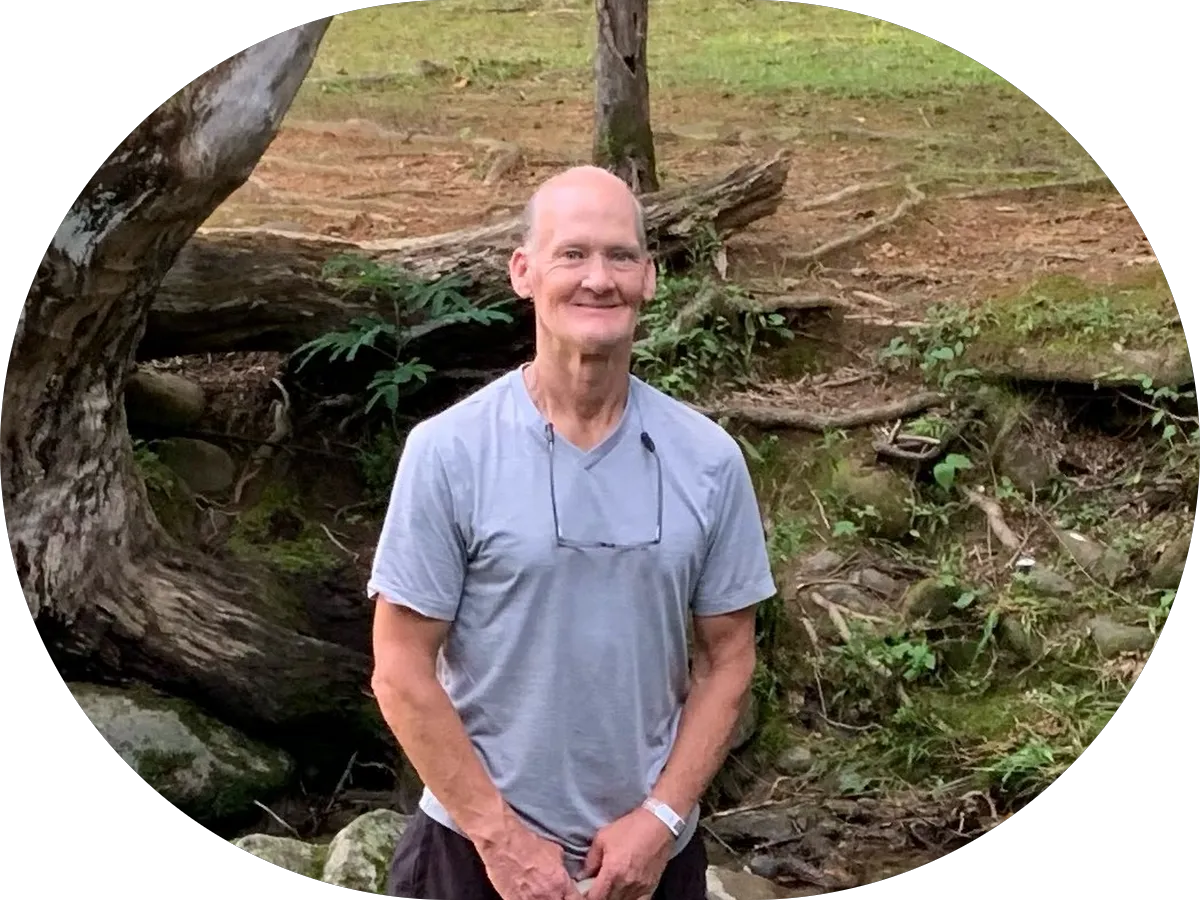 Vibrant Elephant Mindset