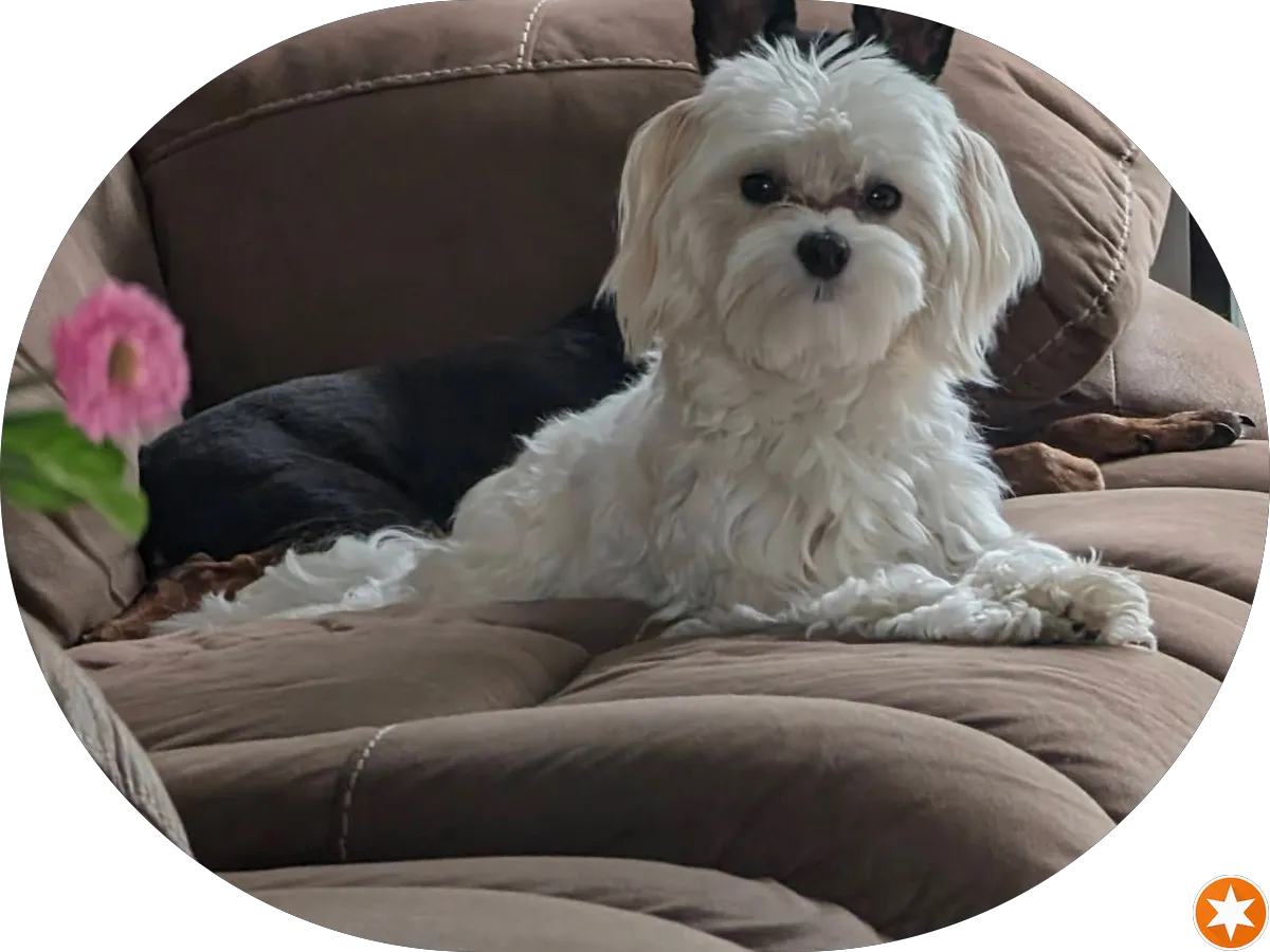 Victor G Mellul, MD photo 3