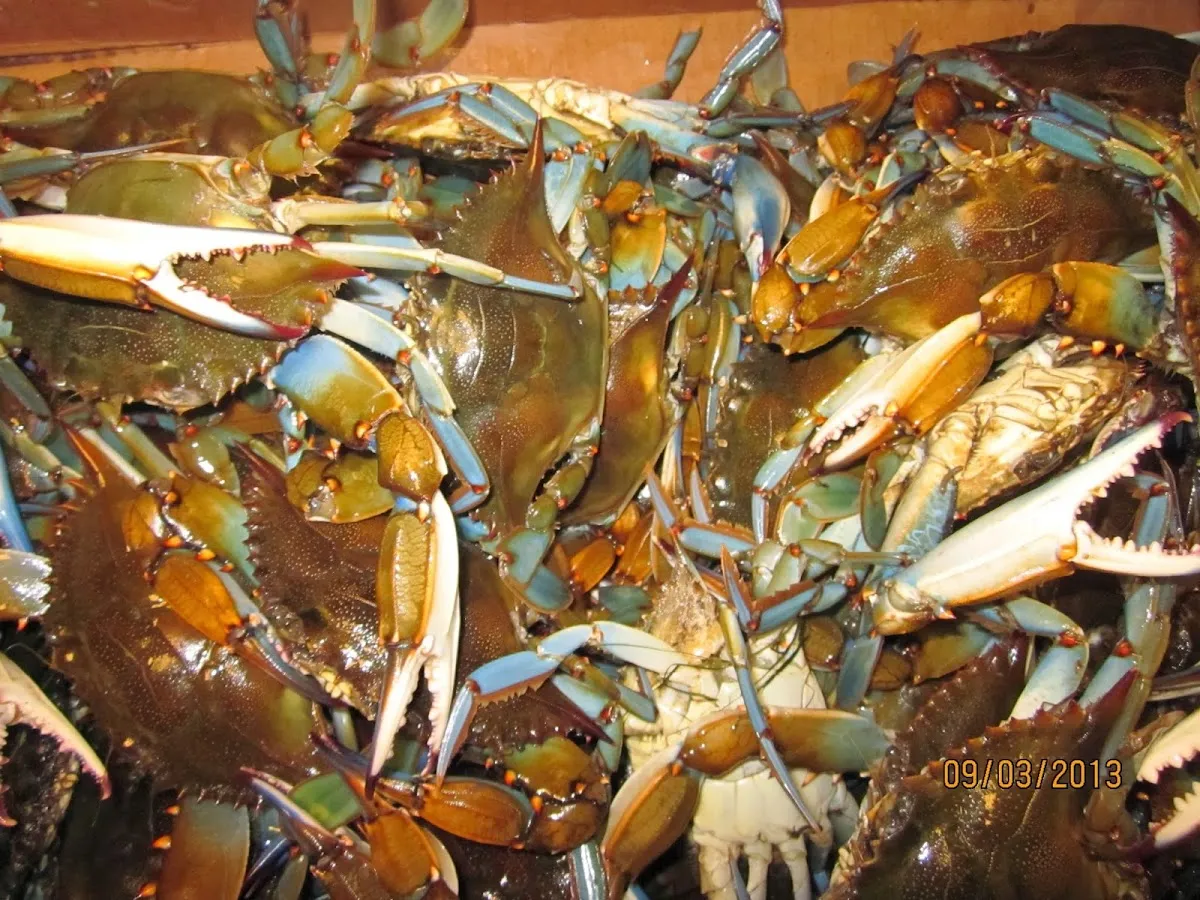 Victoria's Seafood & Crabs photo 3