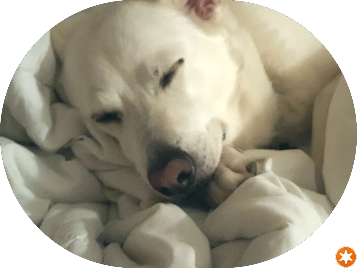 Victory Farms LLC photo 4