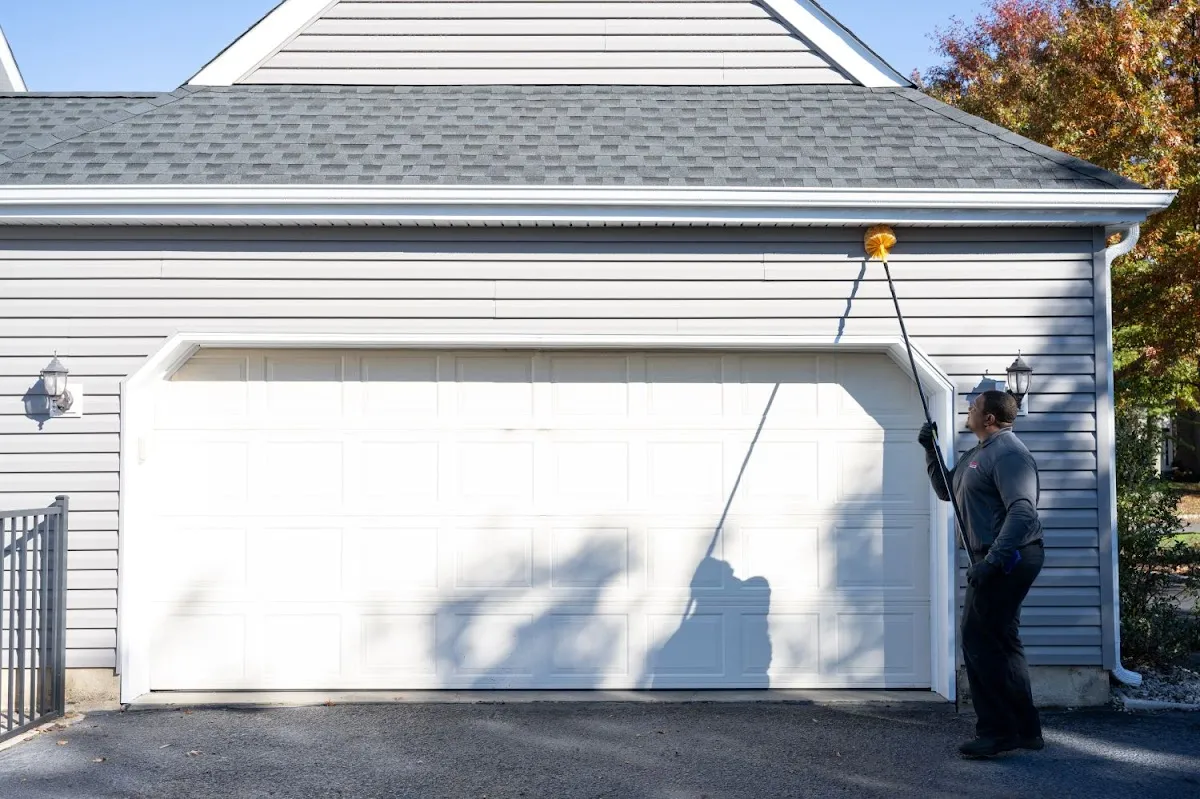 Viking Pest Control photo 2