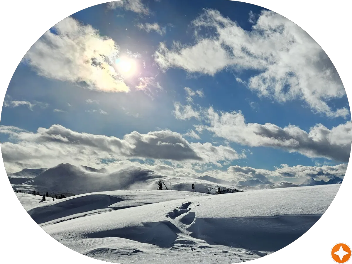 Village Coins & Collectibles LLC photo 5