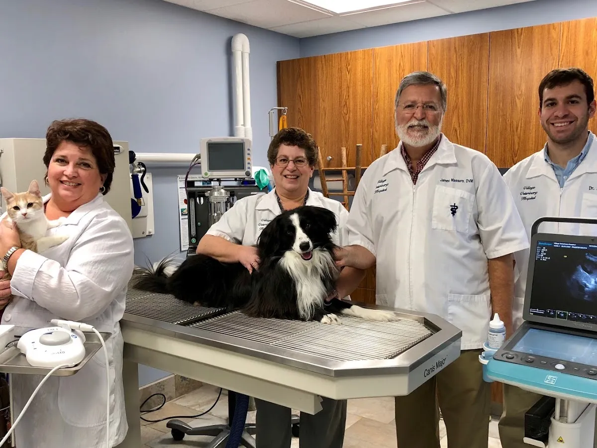 Village Veterinary Hospital