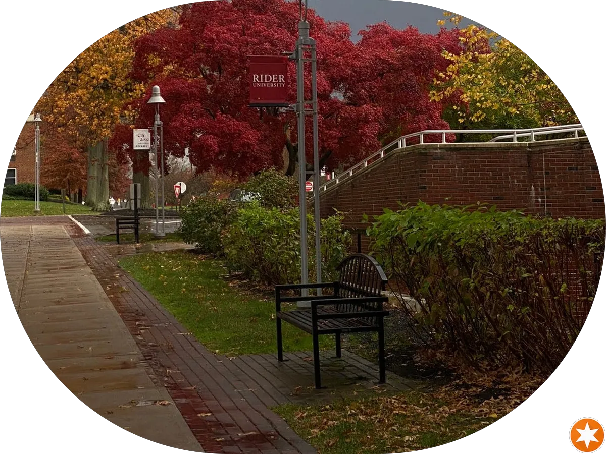 Villa's Bakery photo 4