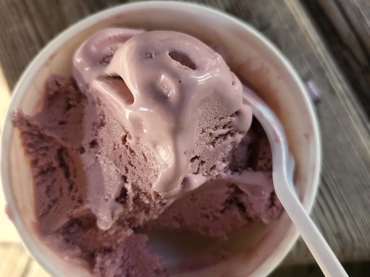 Vincent's Ice Cream Shop photo 3