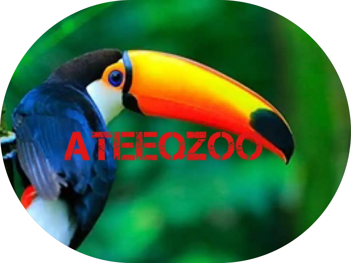 Virtua Health Inc photo 2