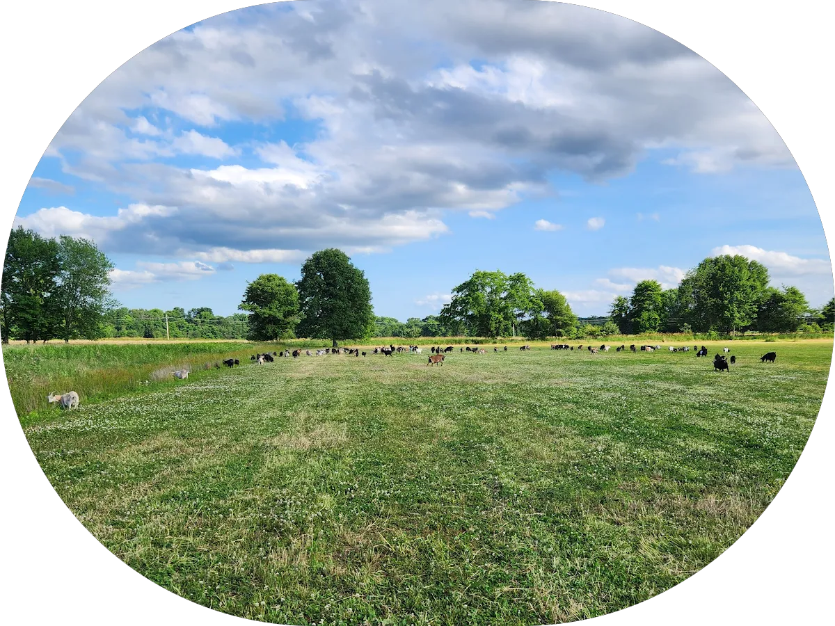 Visionworks Doctors of Optometry Burlington Towne Crossing