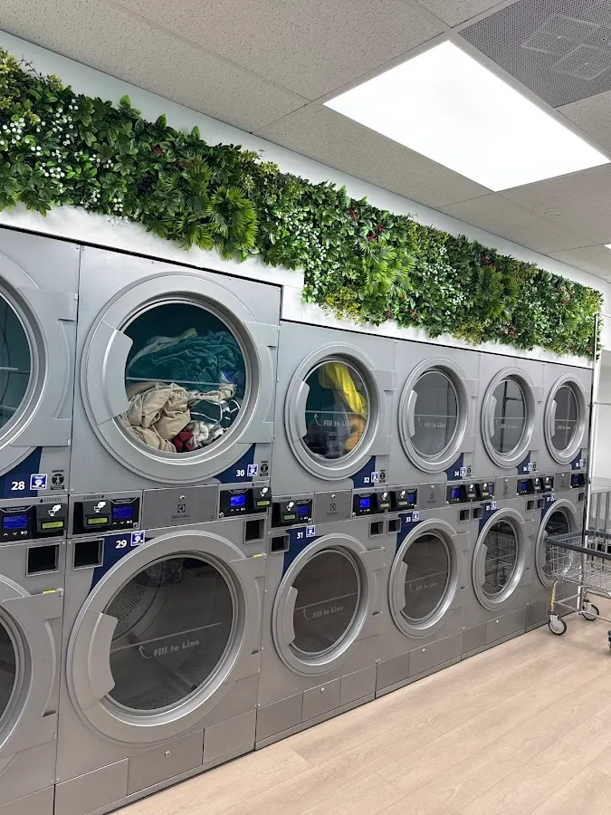 Voorhees Laundromat photo 3