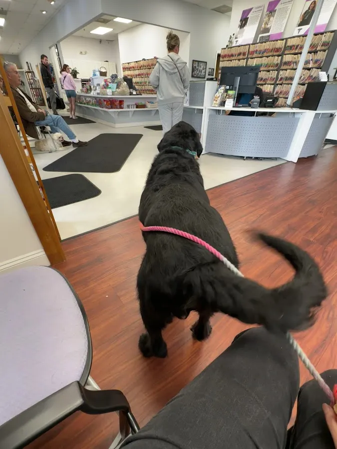 Voorhees Veterinary Center photo 3