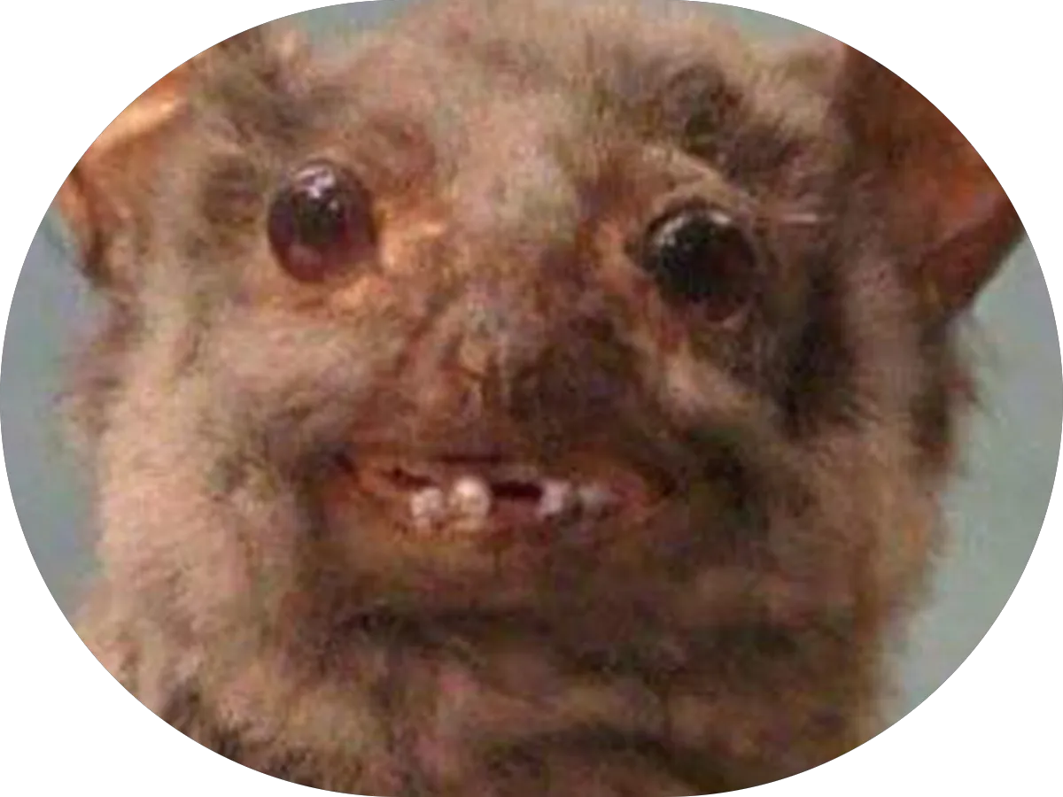 VR Mobile Detailing LLC photo 5