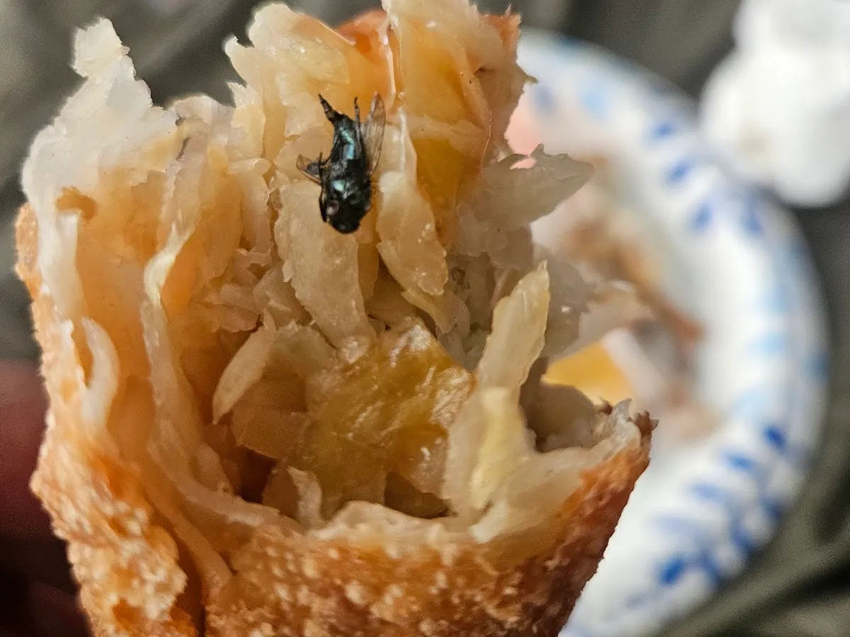 Wah Chen Kitchen photo 4