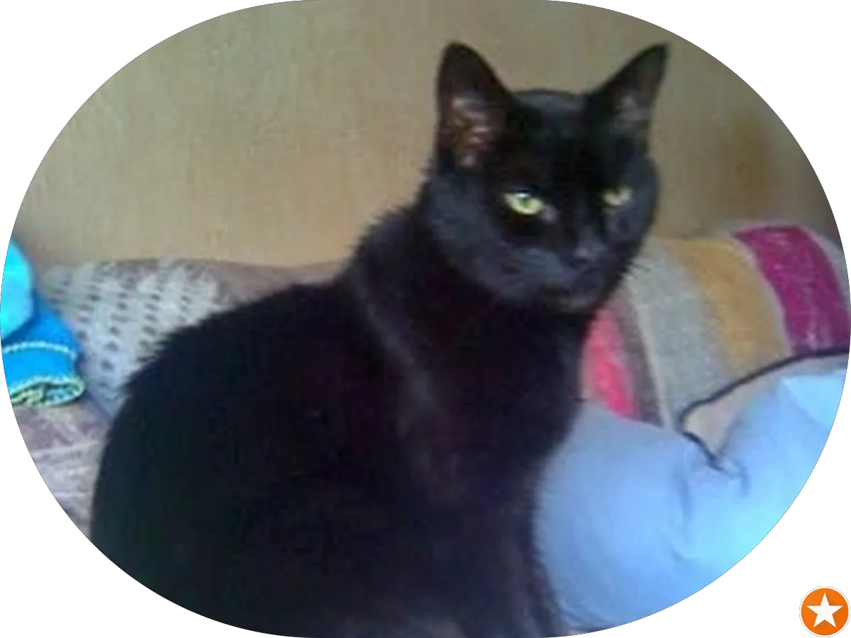 Walgreens Photo photo 4