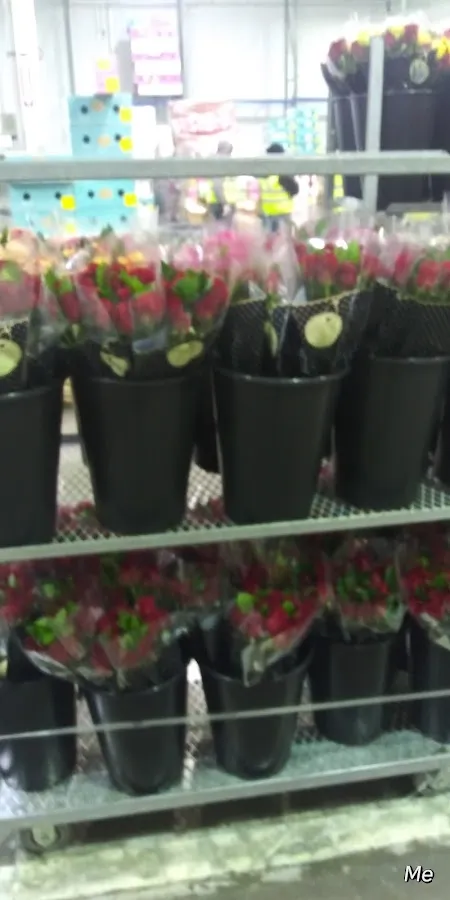 Walmart Garden Center photo 3