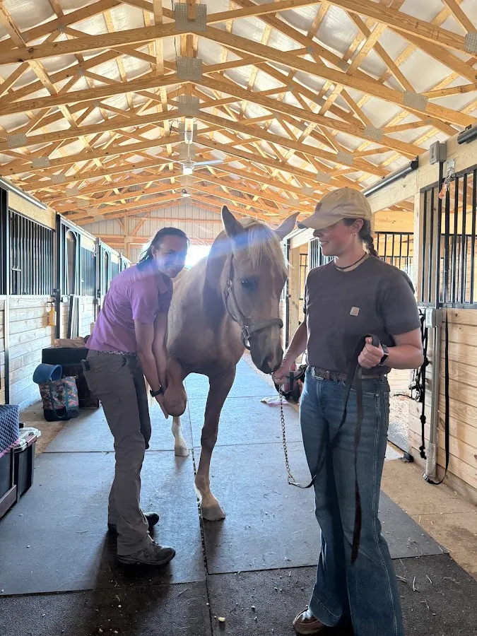 Walnridge Equine Clinic