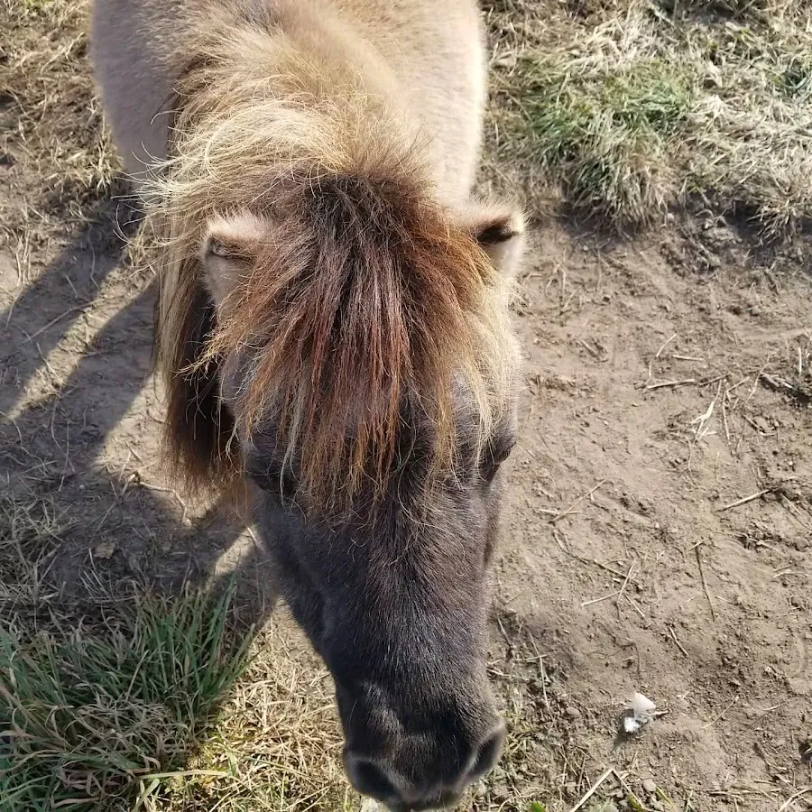 Ware's Farm Supply photo 4