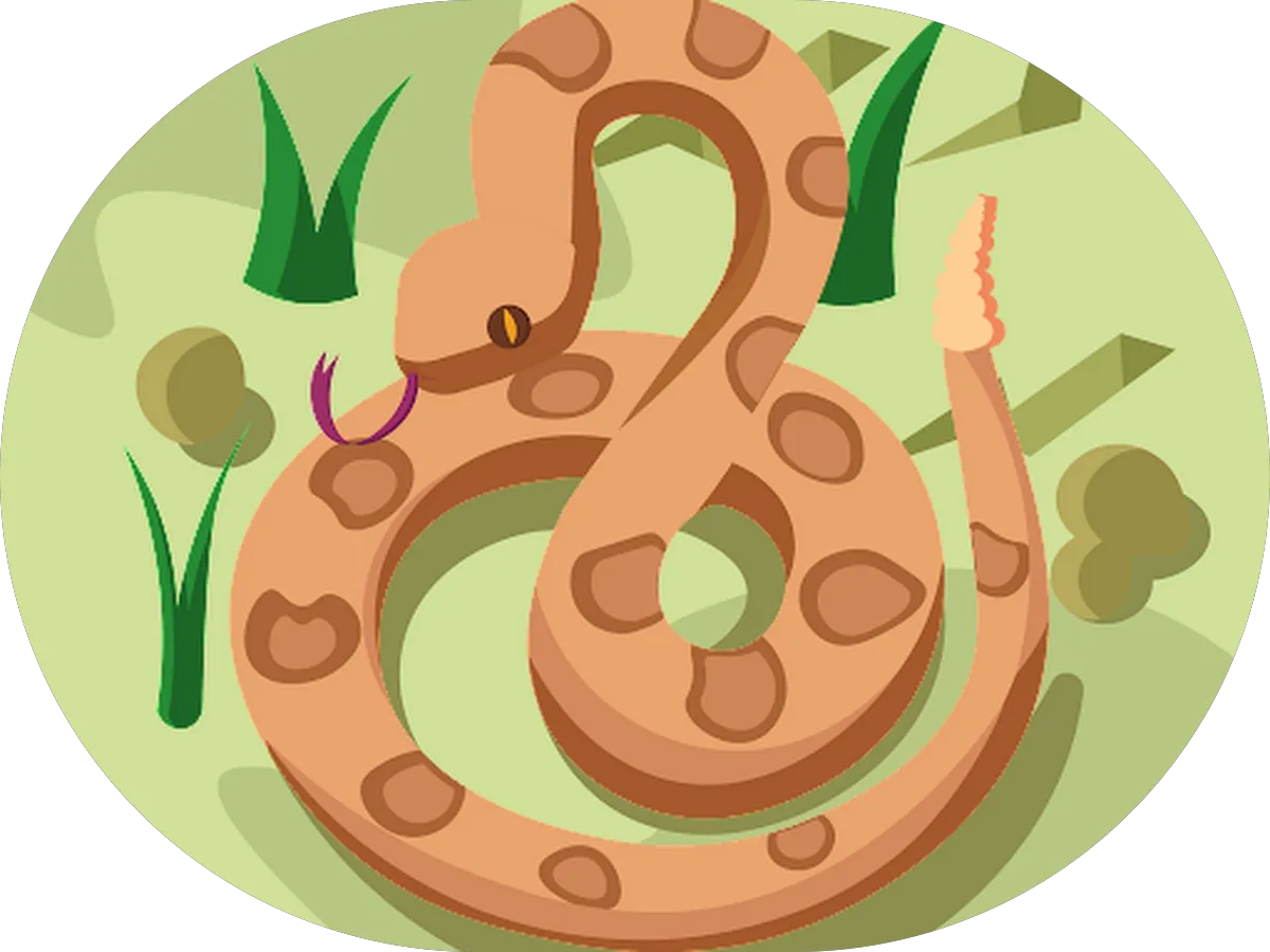 Wash A Rama Laundromat photo 5