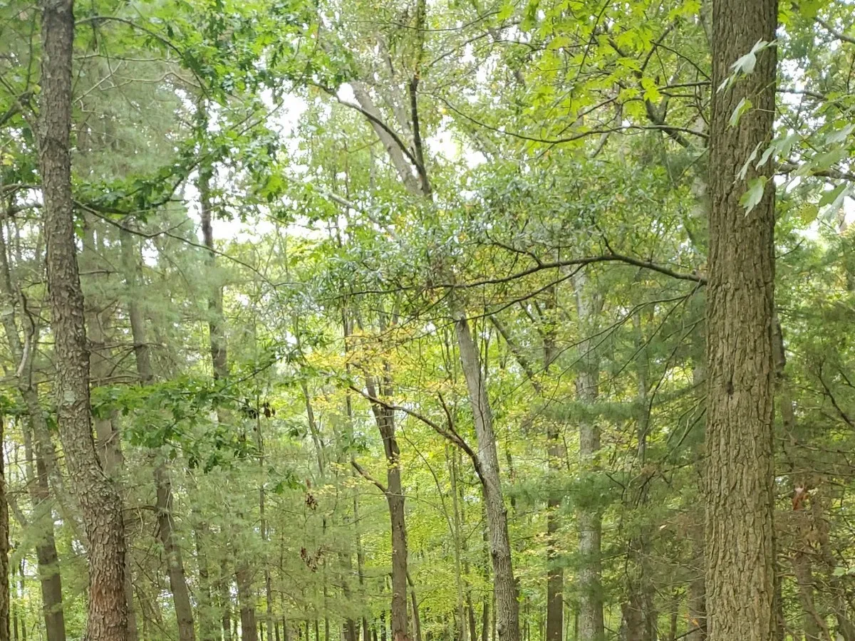 Washington Lake Park photo 3