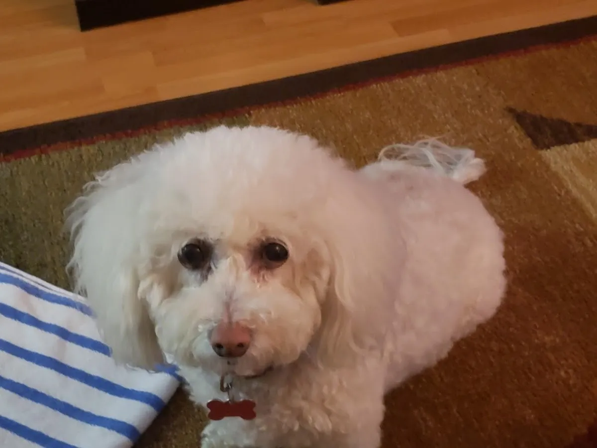 Watergate Condominiums photo 4