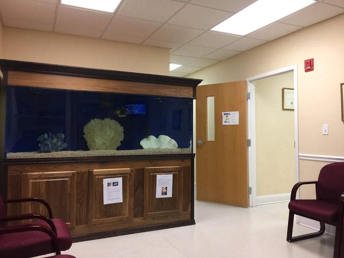 Watts Plastic And Cosmetic Sgy photo 2