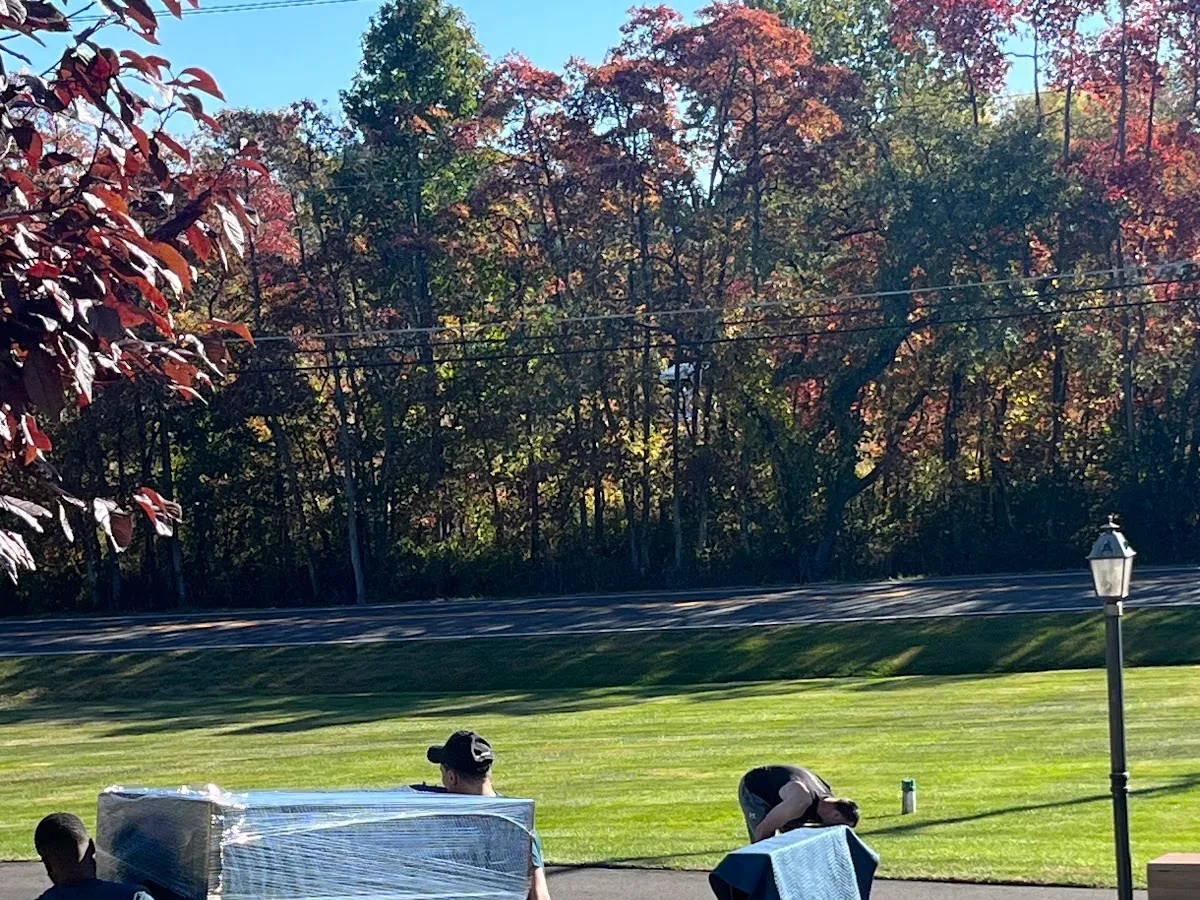 Wayne Moving & Storage Co photo 4