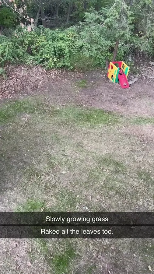 W.D.B. Landscaping Inc photo 4