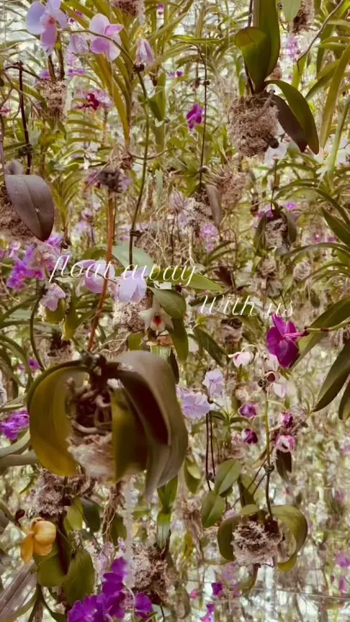 Wei's Day Spa - Massage + Facial photo 3