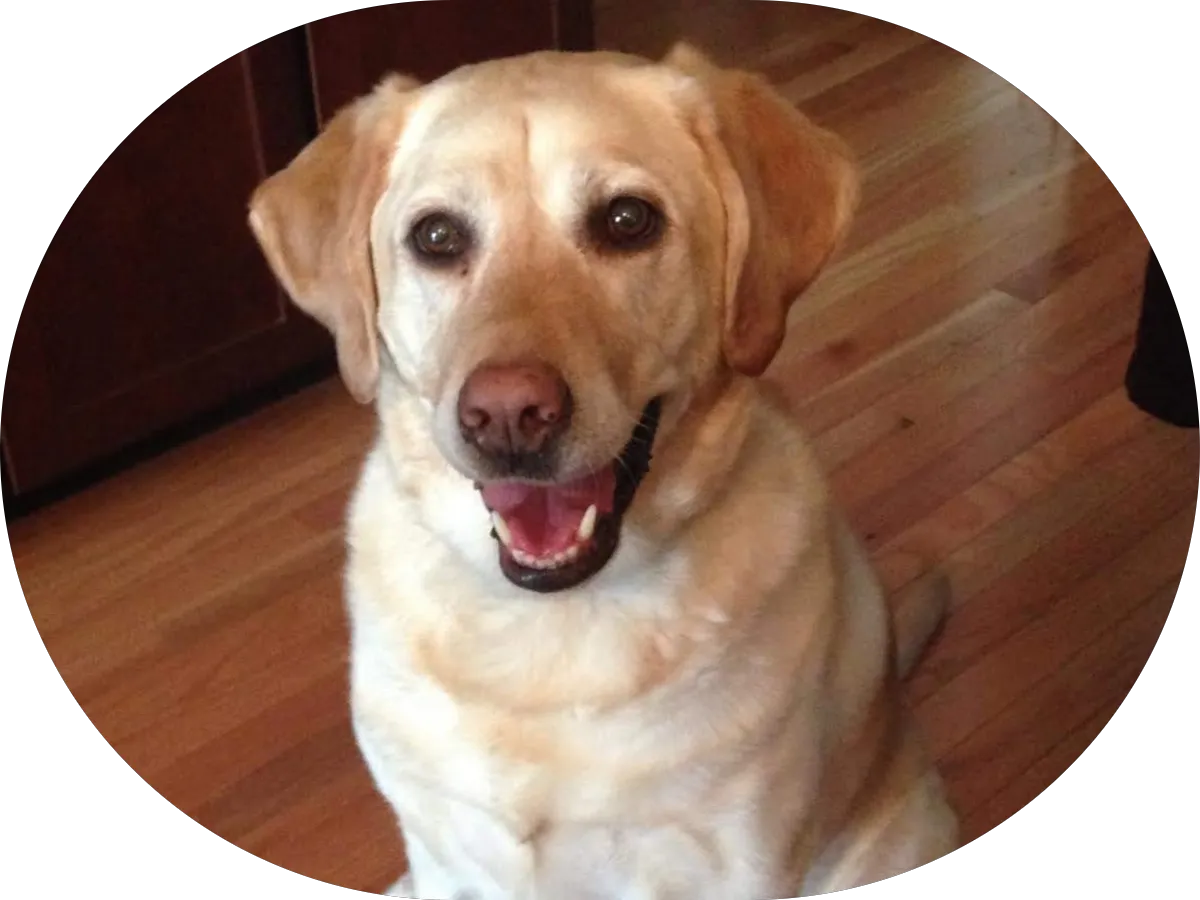 Welcome Mortgage Corp photo 2