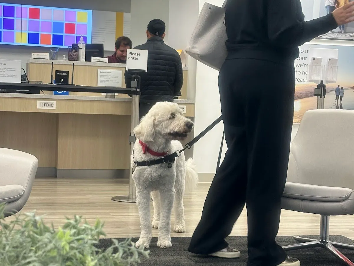 Wells Fargo Advisors Financial Network photo 3