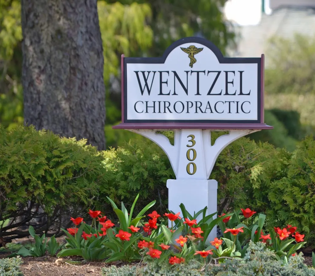 Wentzel Chiropractic Centre