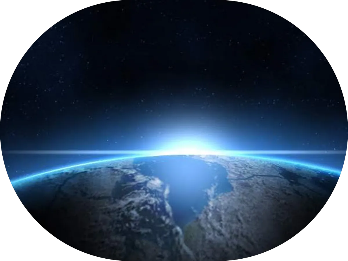 Western Pest Services photo 2