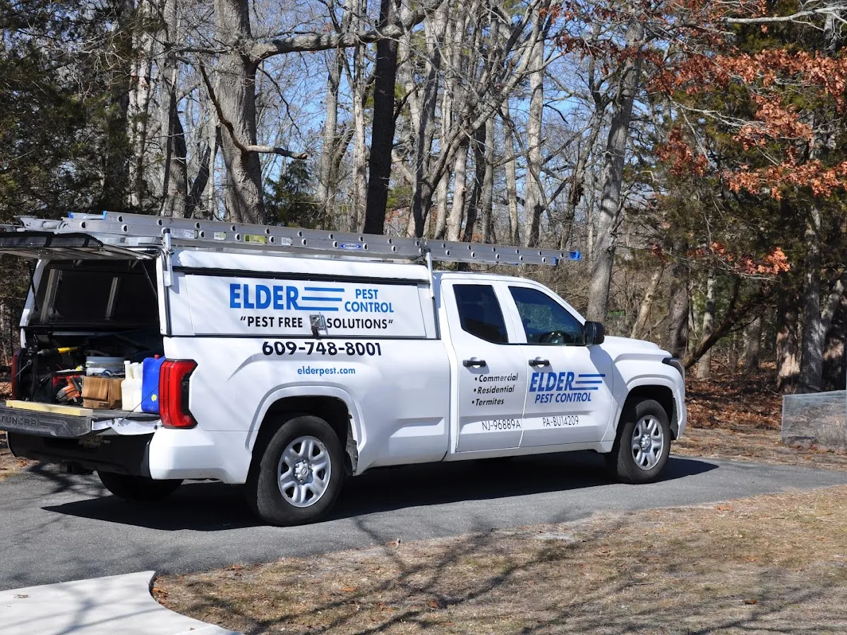 Western Pest Services photo 4