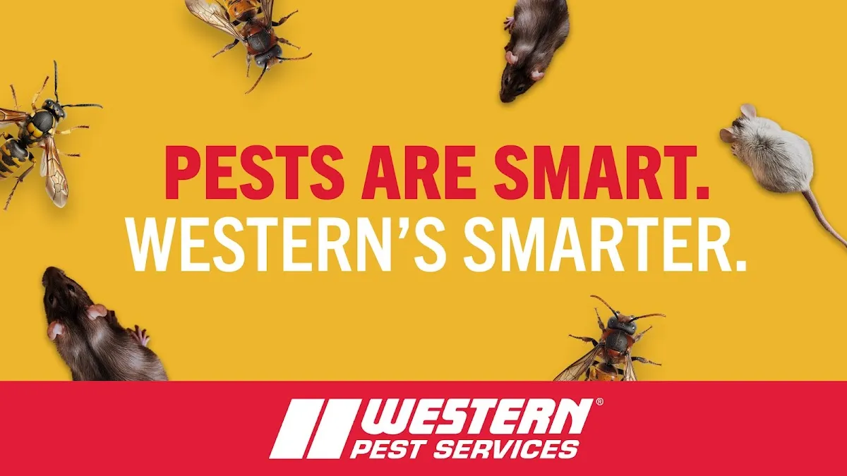 Western Pest Services - Pest Control, Cape May Court House, NJ