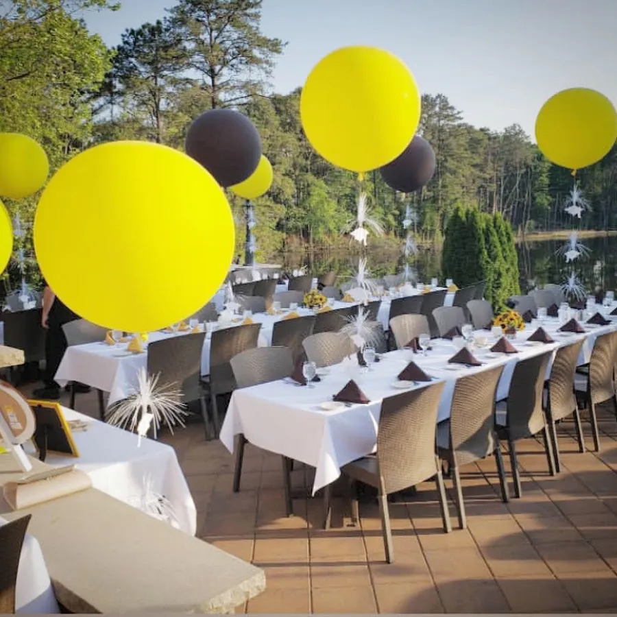 Westmont Party photo 3