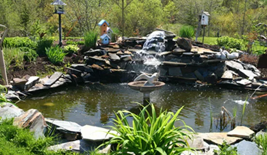 Wet 'n' Green LLC photo 4