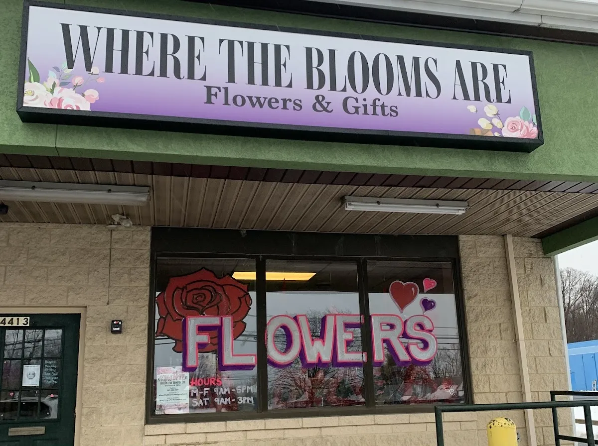 Where The Blooms Are
