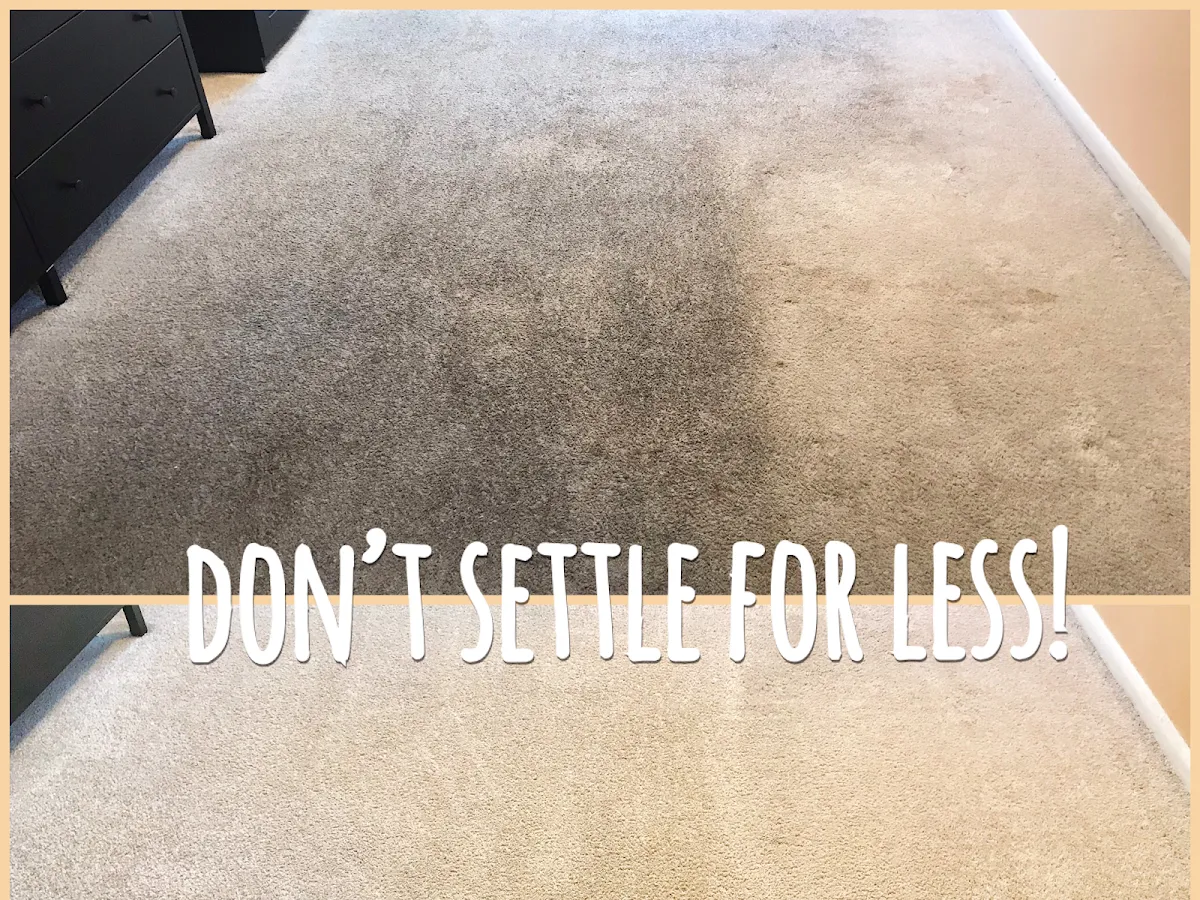 WHP Upholstery & Carpet photo 5