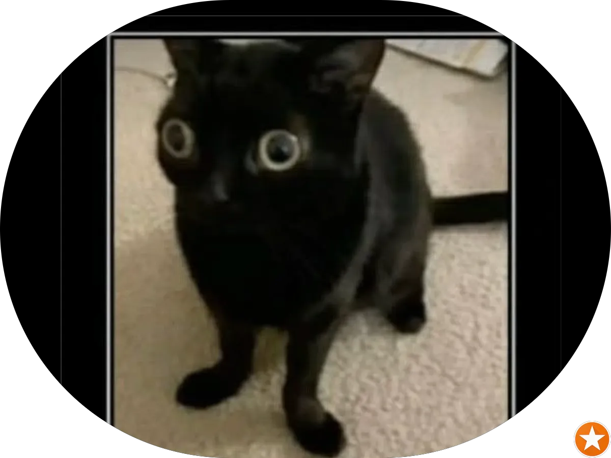 Wildwood Pressure Washing And Soft Washing